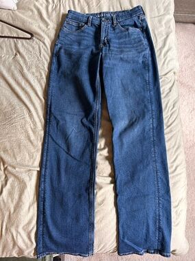 American Eagle Curvy Straight Jean
